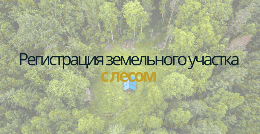 Земельный участок с лесом в Ялуторовске